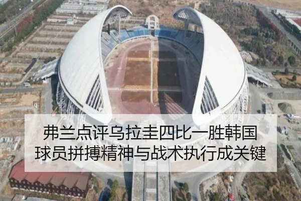 弗兰点评乌拉圭四比一胜韩国 球员拼搏精神与战术执行成关键